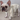 LADOKGRAM DOGGY SWEATSHIRT IVORY